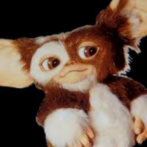 Meet your Posher, Paloma